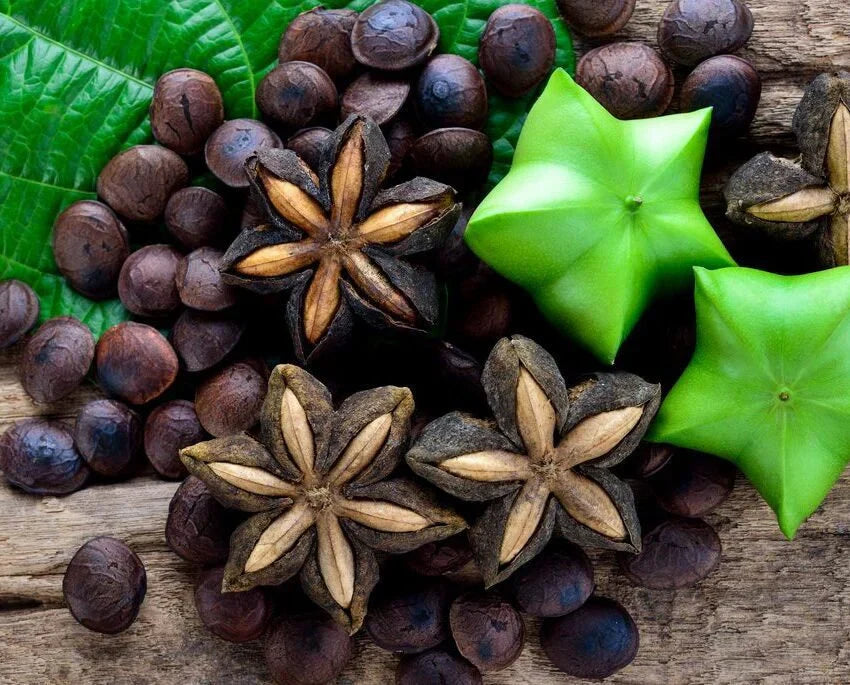 Sacha Inchi Oil Is a Superfood for Afro Hair and Scalp
